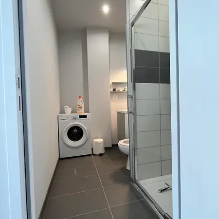 Immeuble La Doa Proche Chu Apartment Saint-Priest-en-Jarez Exterior photo