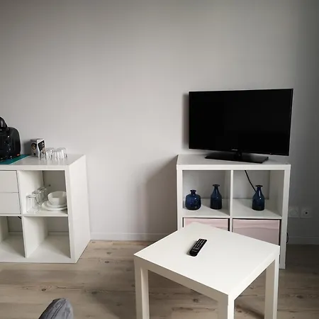 Immeuble La Doa Proche Chu Apartment Saint-Priest-en-Jarez Exterior photo