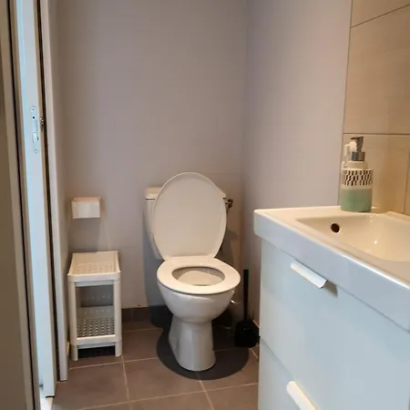 Immeuble La Doa Proche Chu Apartment Saint-Priest-en-Jarez Exterior photo
